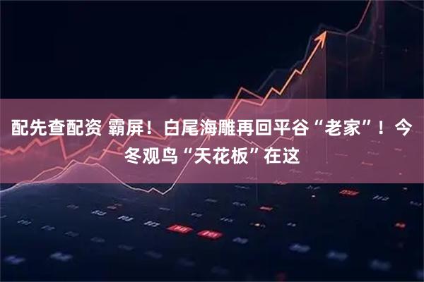 配先查配资 霸屏!白尾海雕再回平谷“老家”!今冬观鸟“天花板”在这